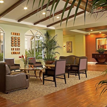 Palm Beach Shores Resort And Vacation Villas İç mekan fotoğraf
